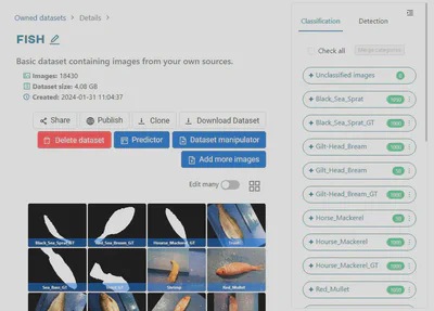 Dataset view