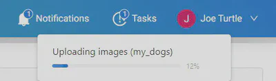 Active task