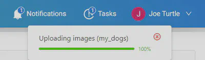 Finished task