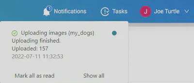 Notifications