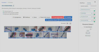 Widok detekcji obiektów