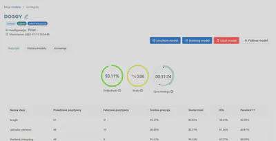 Szczegóły modelu
