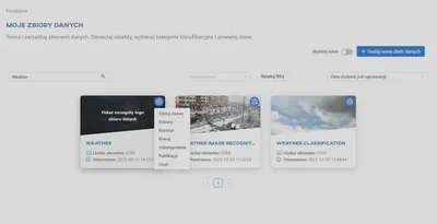 Widok zbiorów danych