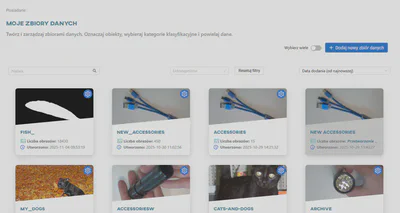 Widok zbiorów danych