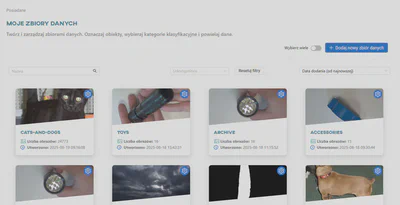 Widok zbiorów danych