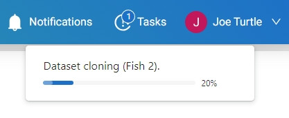 Tasks tab