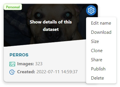 Download dataset
