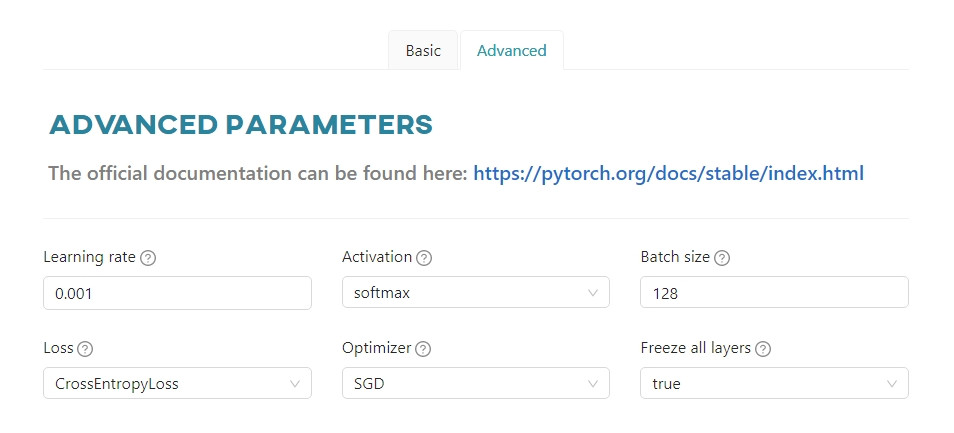 Advanced parameters - PyTorch
